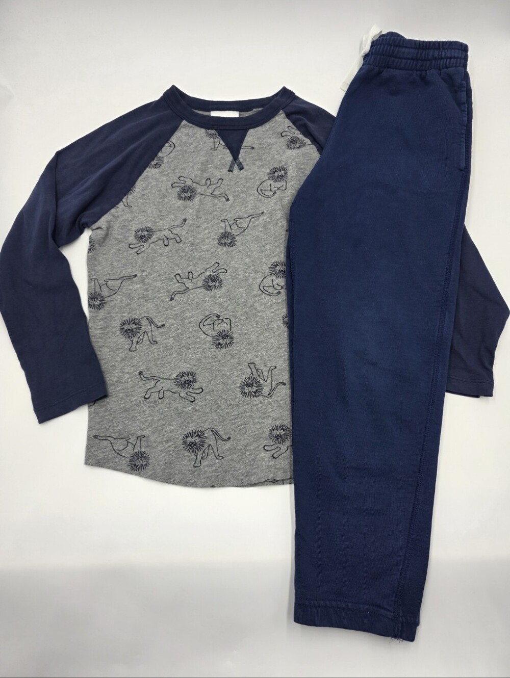 Hanna Andersson boys' lion print shirt and navy sweatpants size 8